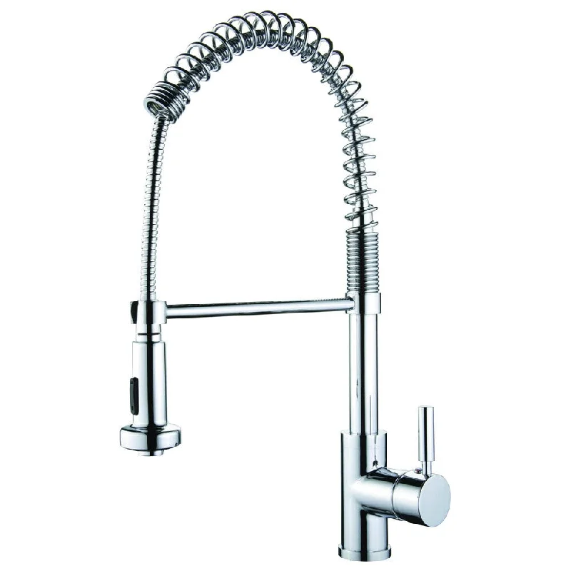 AA Warehousing 'Foreman' Single Handle Kitchen Faucet in Polished Chrome