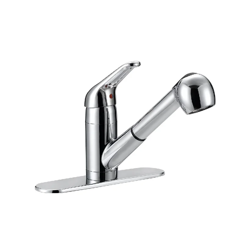 AquaPlumb Single Handle Kitchen Sink Faucet with Pull-Out Sprayer, Polished Chrome