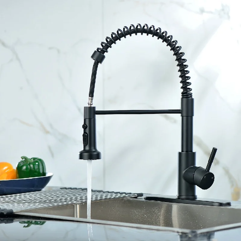 Black Single Handle Lever Spring Kitchen Sink Faucet