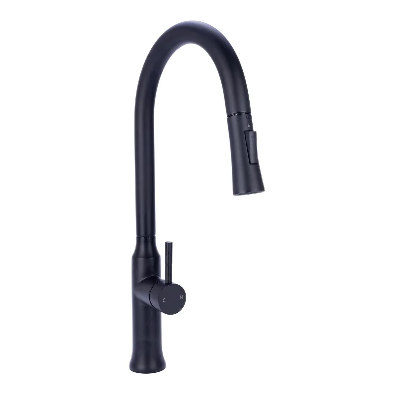 Brienza Single Handle Pull-Down Kitchen Faucet in Matte Black