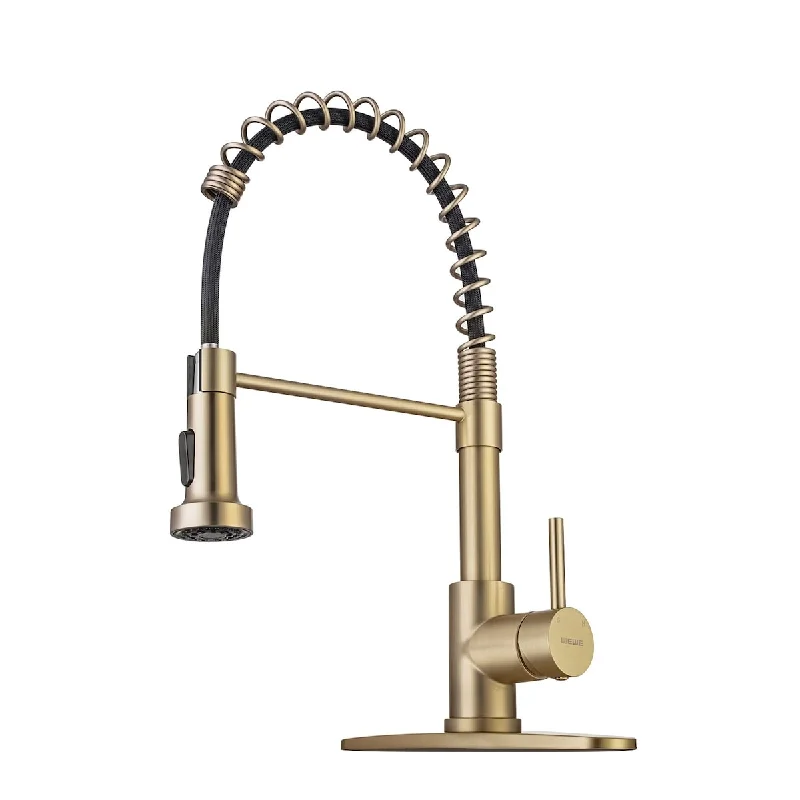 Brushed Gold Kitchen Faucet with Pull Down Sprayer, RV Brass Kitchen Faucet Steel Single Handle Spring Faucet with Deck Plate