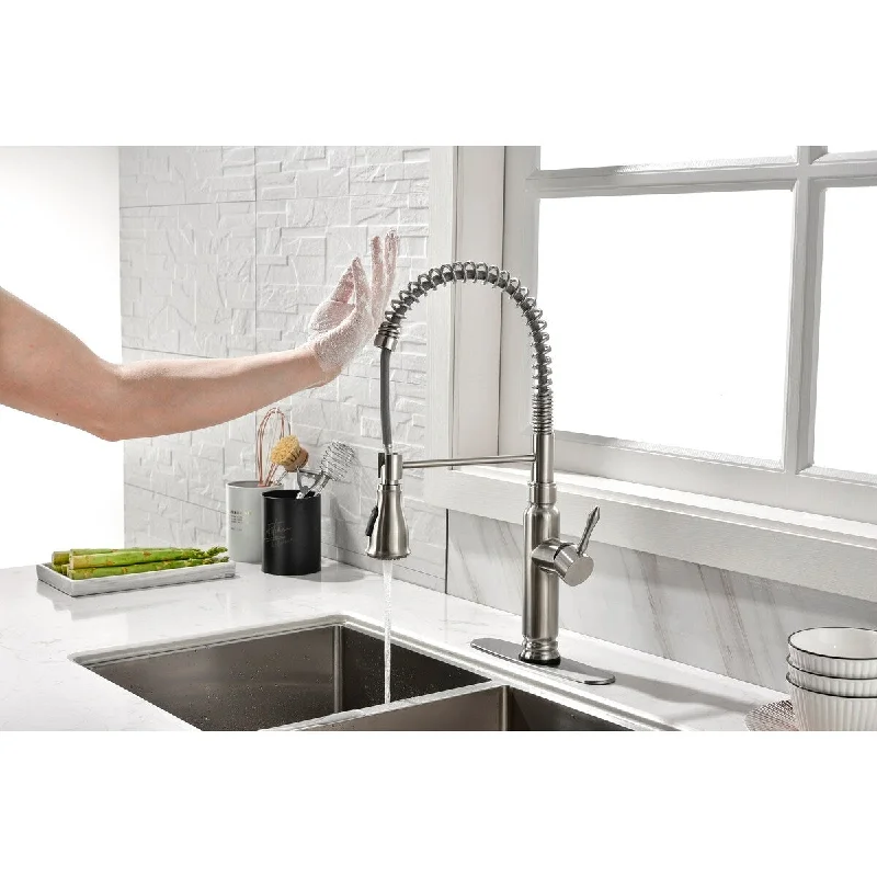 Brushed Nickel Single Handle Touch Kitchen Faucet