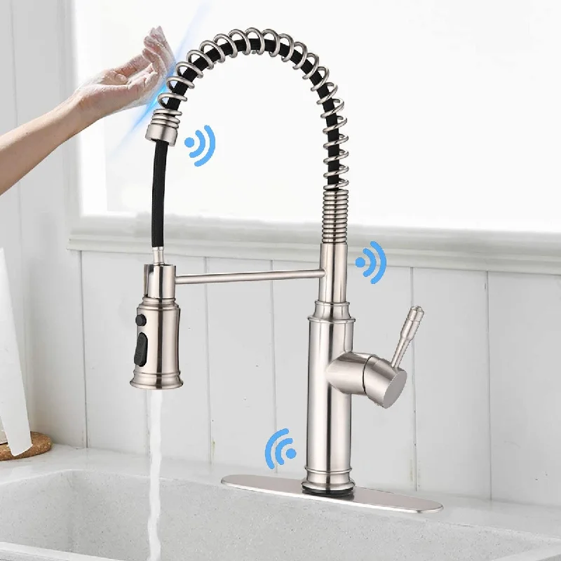 Brushed Nickel Single Handle Touch Kitchen Faucet