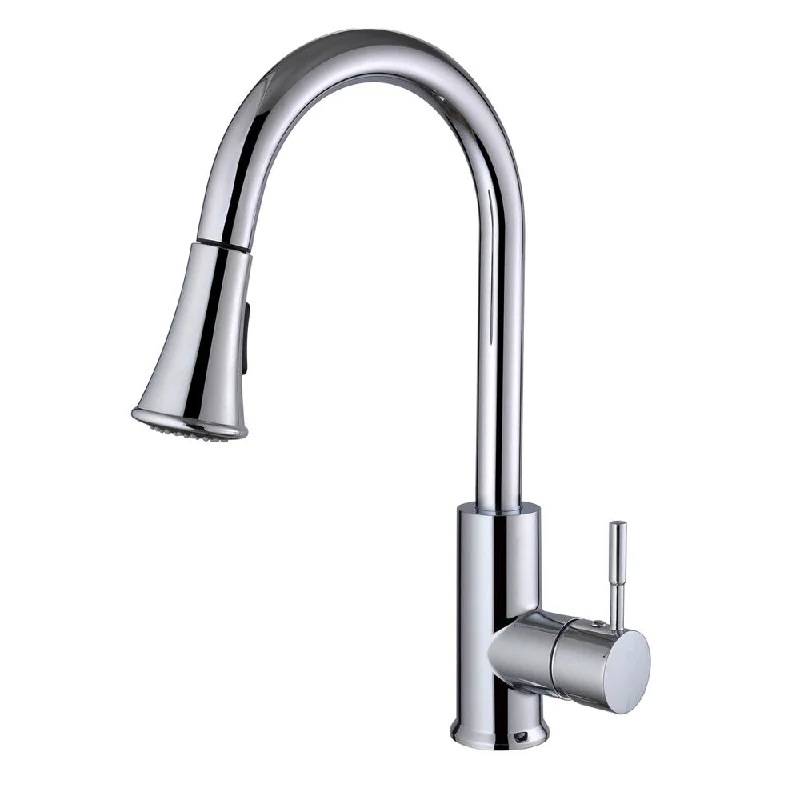 Century Home Living Single-lever Pull-out Sprayer Kitchen Faucet