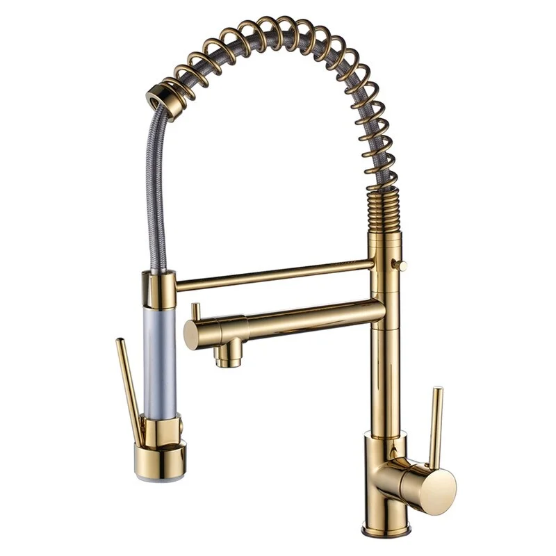 EPOWP Golden Single Handle Kitchen Sink Faucet with LED Light 2 Spout