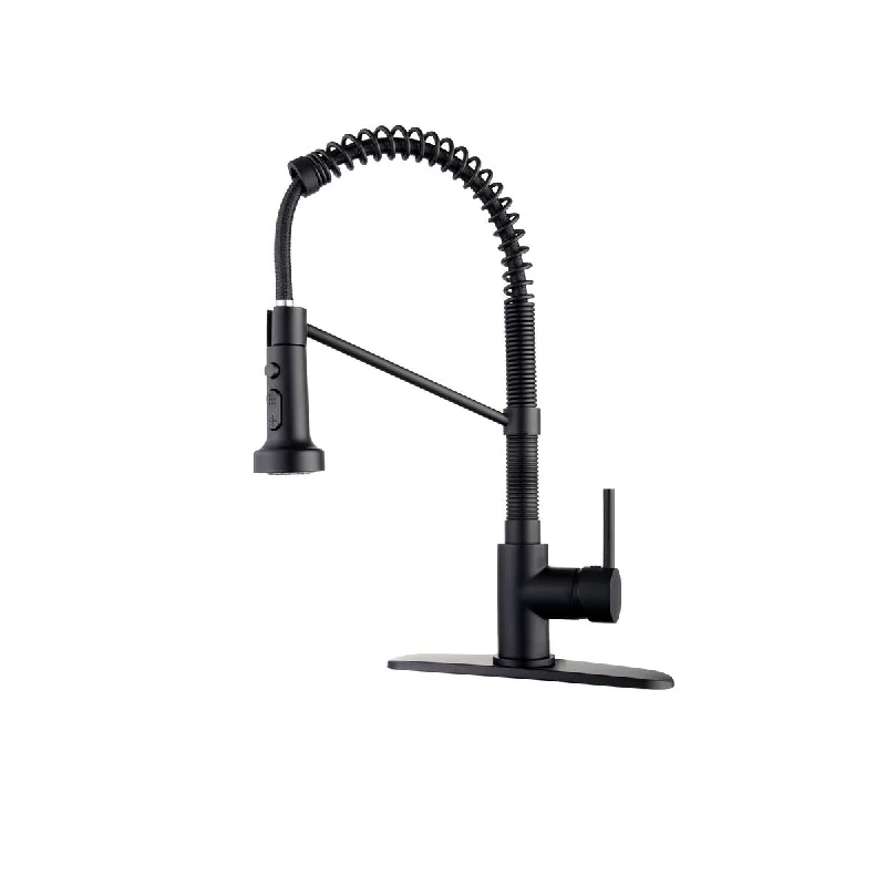 EPOWP Kitchen Faucets with Pull Down Sprayer Matte Black Single Handle