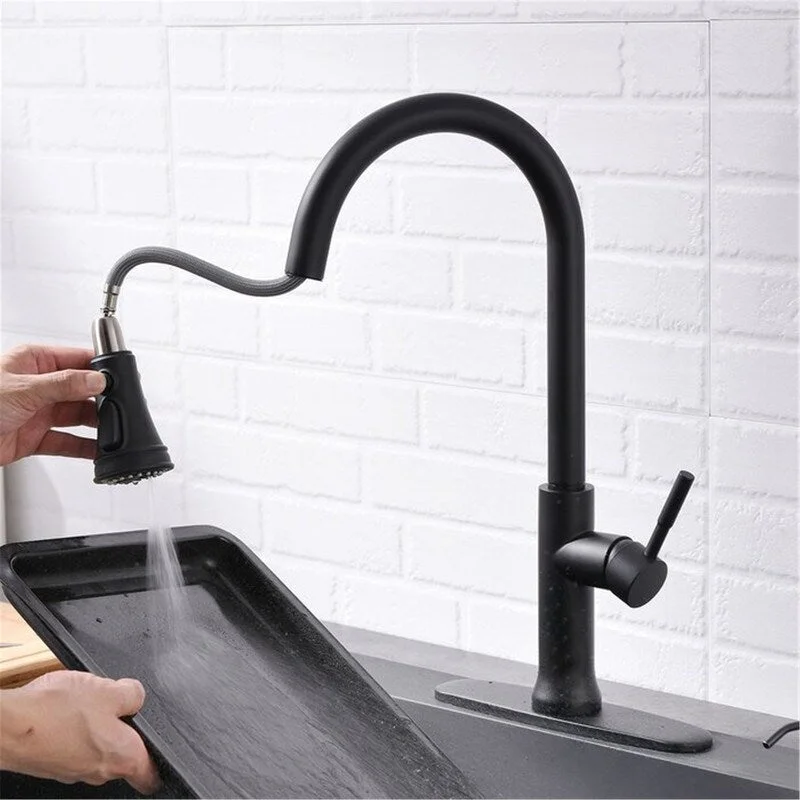 EPOWP Pull Down Sprayer Kitchen Faucet Sink Faucet with Deck Plate