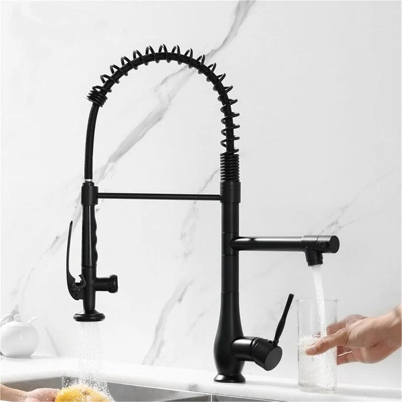 EPOWP Single Handle Kitchen Faucet Kitchen Sink Faucet With 2 Spout