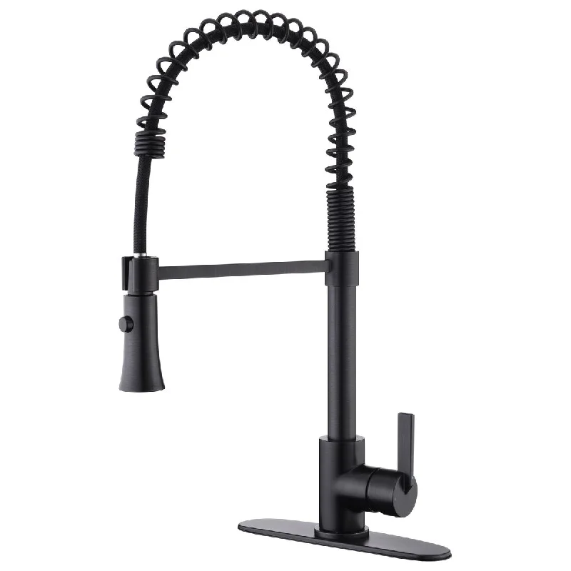 Euro Residential Spring Kitchen Faucet in Oil Rubbed Bronze