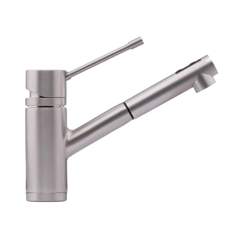 Hahn Modern Duo Stainless Steel Single-lever Pull-out Kitchen Faucet - Silver