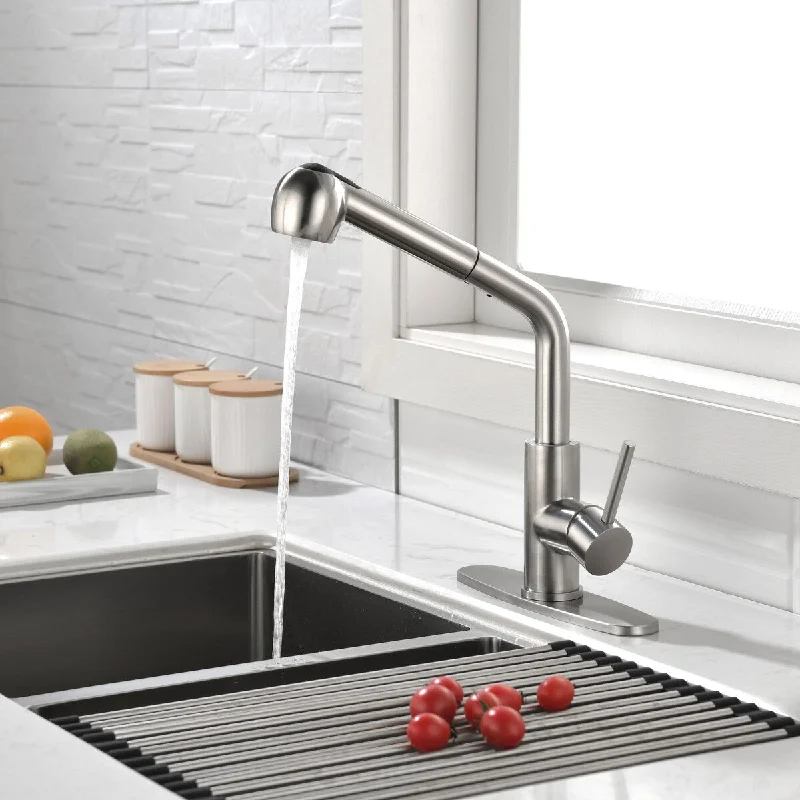 Harlie Kitchen Faucet with Pull Down Sprayer