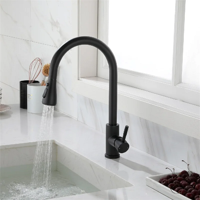 Kitchen Faucet One Handle Kitchen Faucet with Pull Out Spray - Black