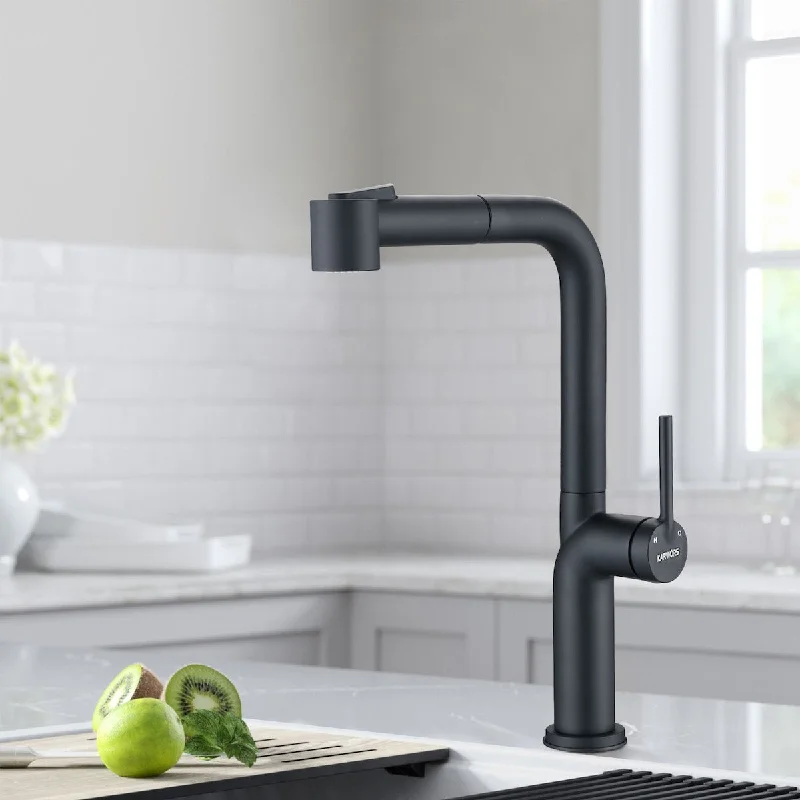 Kitchen Faucet Pull Out Single Handle Sink Kitchen Faucet