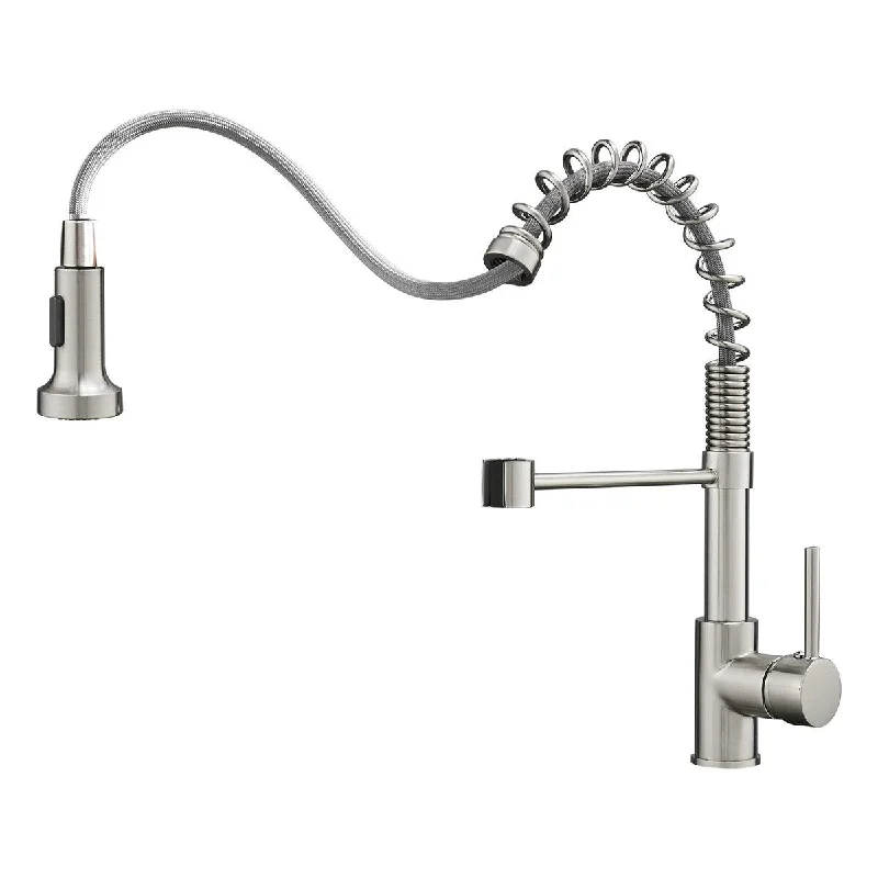 Kitchen Faucet with Pull Down Sprayer