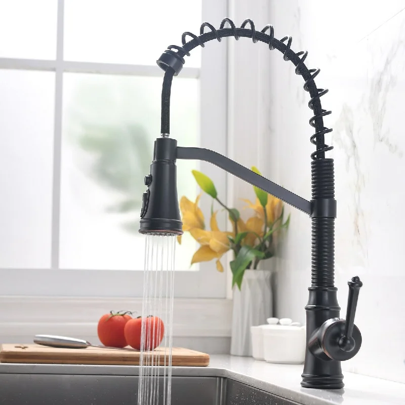 Kitchen Faucet with Pull Down Sprayer