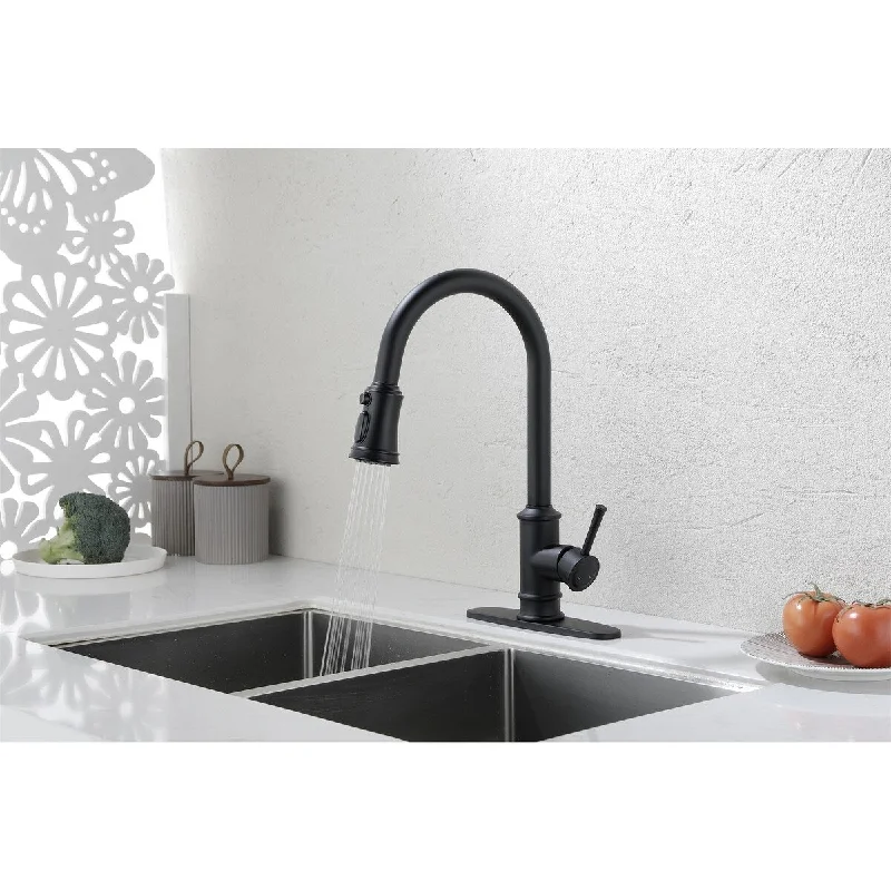 Kitchen Faucet with Pull Down Sprayer