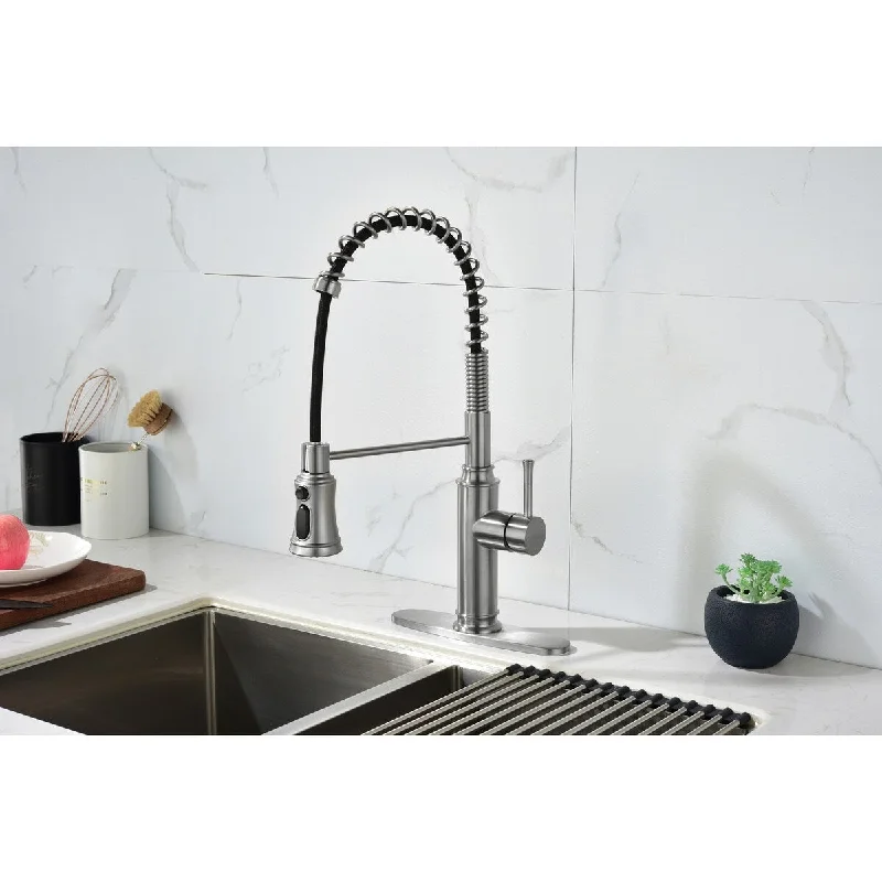 Kitchen Faucet with Pull Down Sprayer