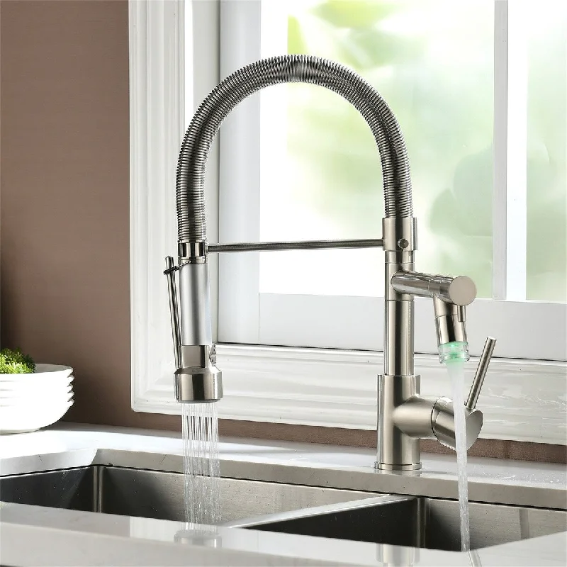 Kitchen Faucet with Pull Down Sprayer