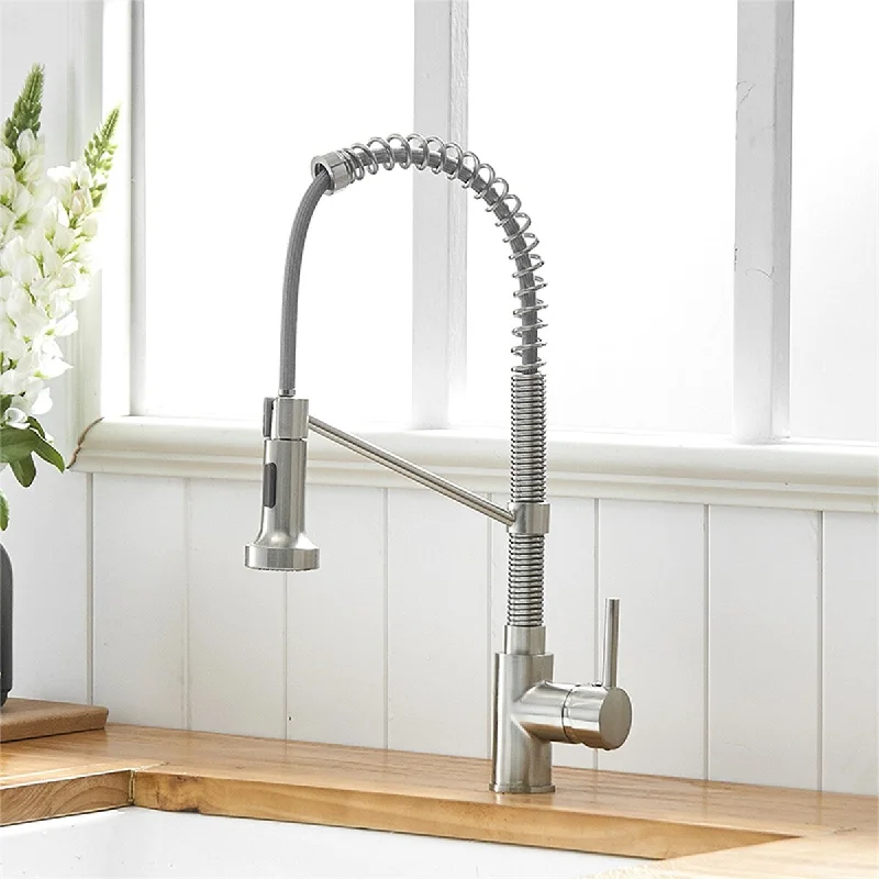 Kitchen Faucet with Pull Down Sprayer