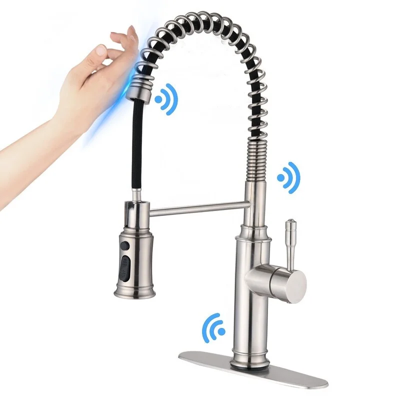 Kitchen Faucet with Pull Down Sprayer, Brushed Nickel