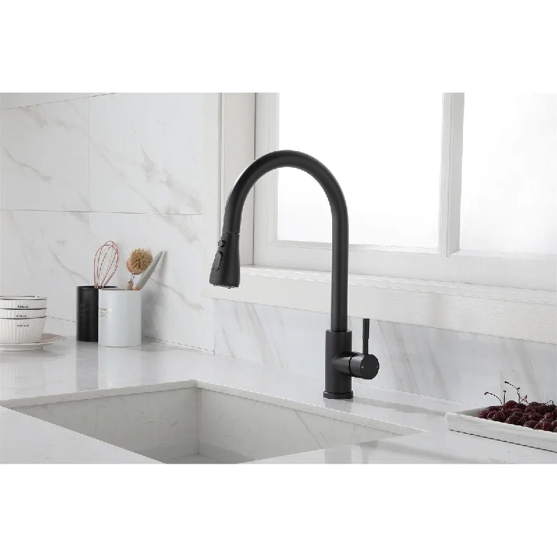 Kitchen Faucet with Pull Out Spraye