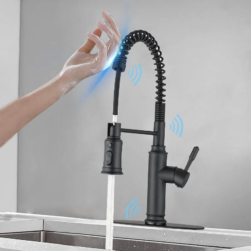 Matte Black Single Handle Touch Kitchen Faucet