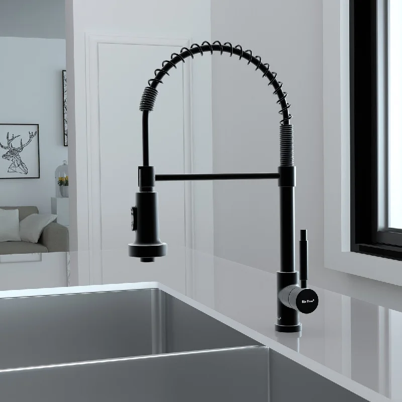 Matte Kitchen Faucet with Pull-Down Sprayer Single Handle