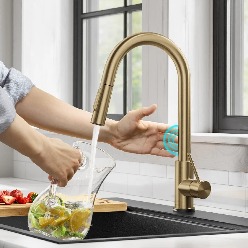 Oletto Contemporary Single-HandleTouch Kitchen Sink Faucet with Pull Down Sprayer in Brushed Gold