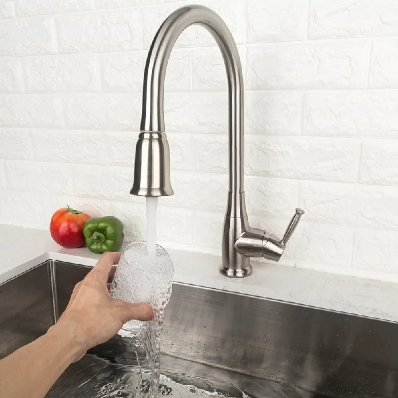 Pull Out Single Handle Kitchen Faucet with Spray