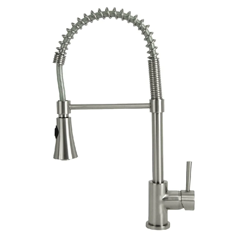 Residential Coil Spring Brushed Nickel Kitchen Faucet