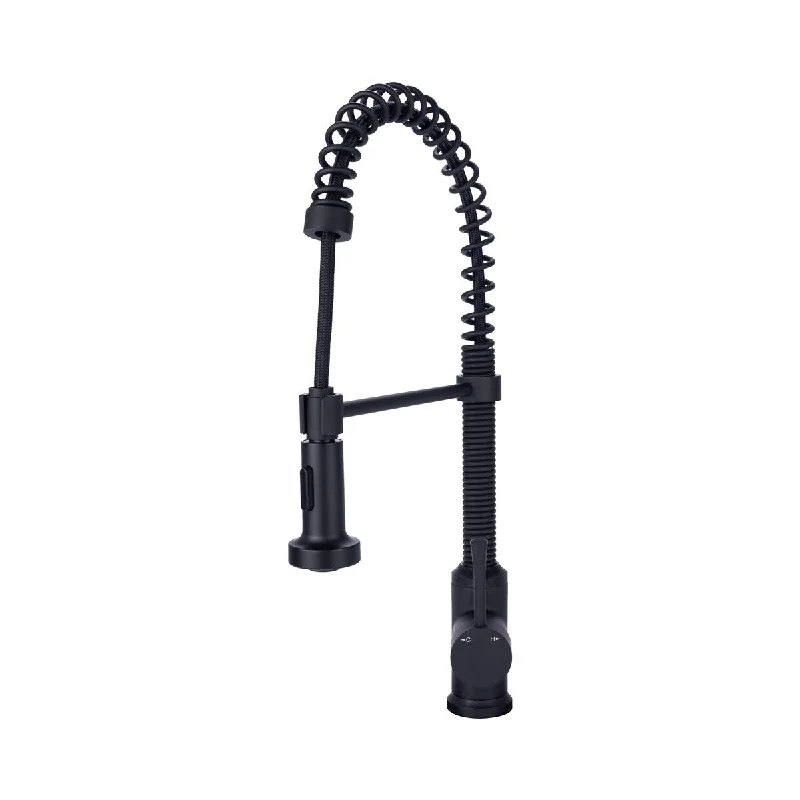 Residential Spring Kitchen Faucet Flat Sprayer in Matte Black