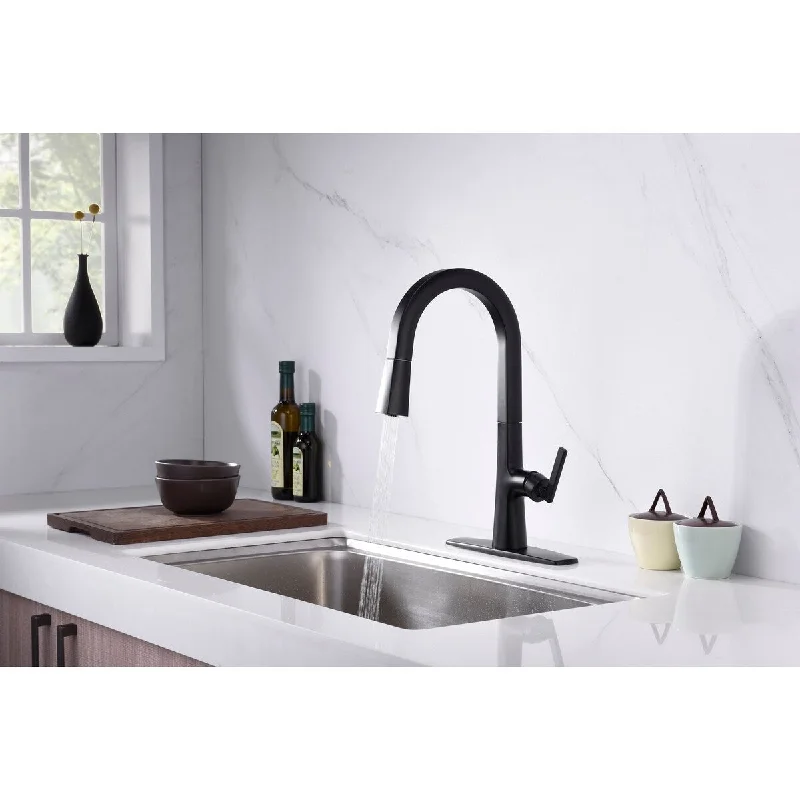 Saint Lazare Pull Down Sprayer Kitchen Faucet with Deck Plate