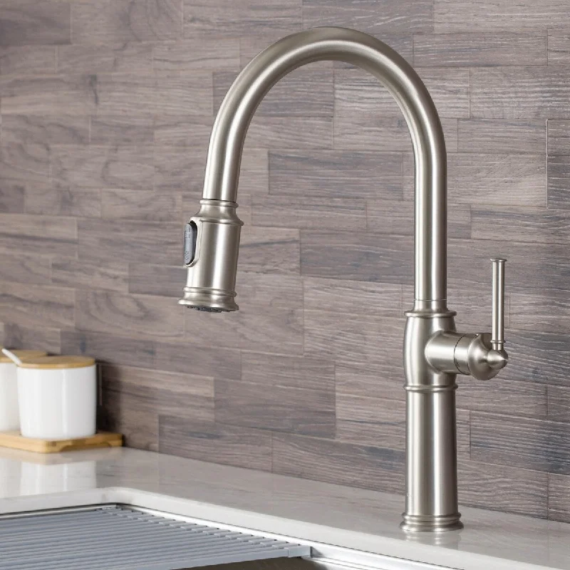 Sellette? Traditional Single Handle Pull-Down Kitchen Faucet in Spot Free Stainless Steel