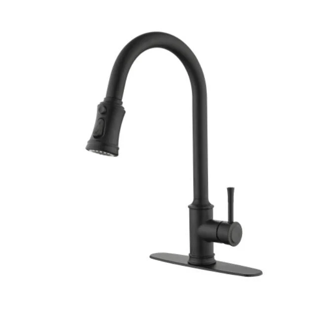 Single -handed high arc pulled out the kitchen faucet