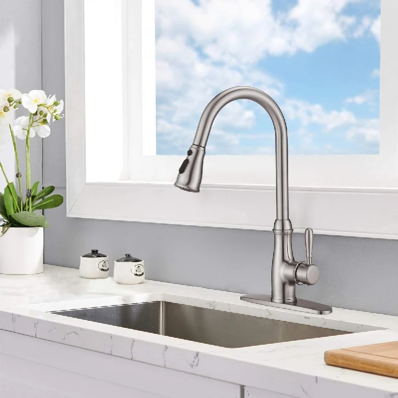 Single Handle Brushed Nickel Pull Down Kitchen Sink Faucet with Pull Out Sprayer