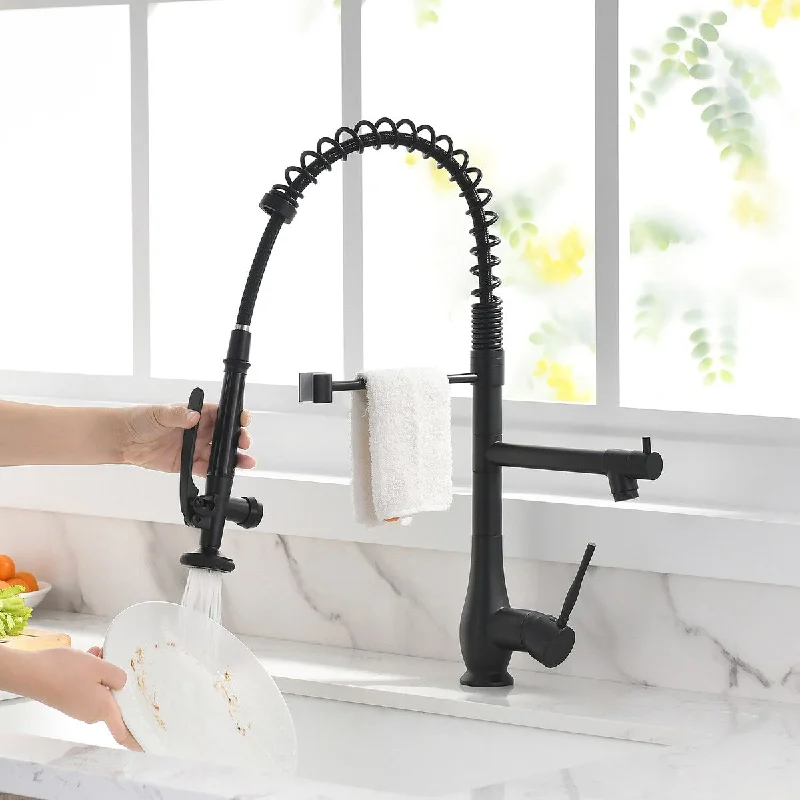 Single Handle High Arc Pull Out Sprayer Kitchen Faucet in Matte Black - 4.4'' x 9.5''