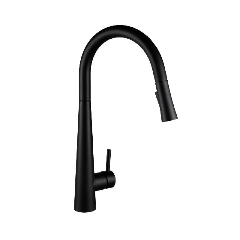 Single Handle Kitchen Faucet in Black Finish