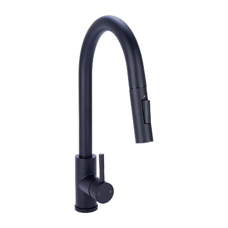 Single Handle Pull Down Sprayer Kitchen Faucet in Matte Black