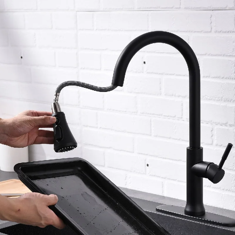 Single Handle Pull Down Sprayer Kitchen Faucet with Advanced Spray in Matte Blac - 9.9'' x 9''