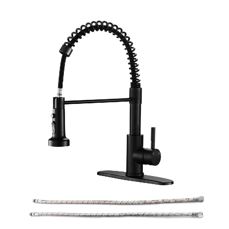 Single Handle Pull Down Sprayer with Spot Resistant Kitchen Faucet