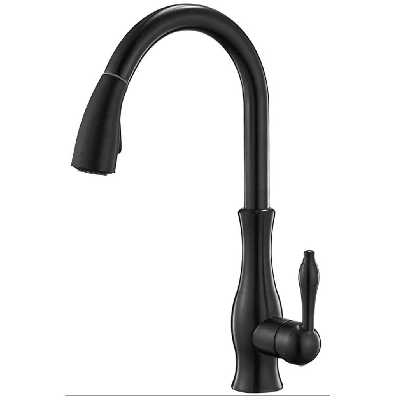 Single Handle Pull-out Kitchen Faucet Matte Black