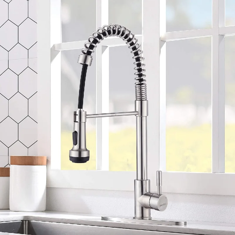 Single Handle Single Lever Pull Down Sprayer Spring Kitchen Sink Faucet