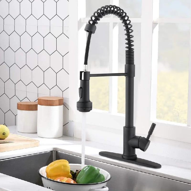 Single Handle Single Lever Pull Down Sprayer Spring Kitchen Sink Faucet Matt Black Finish