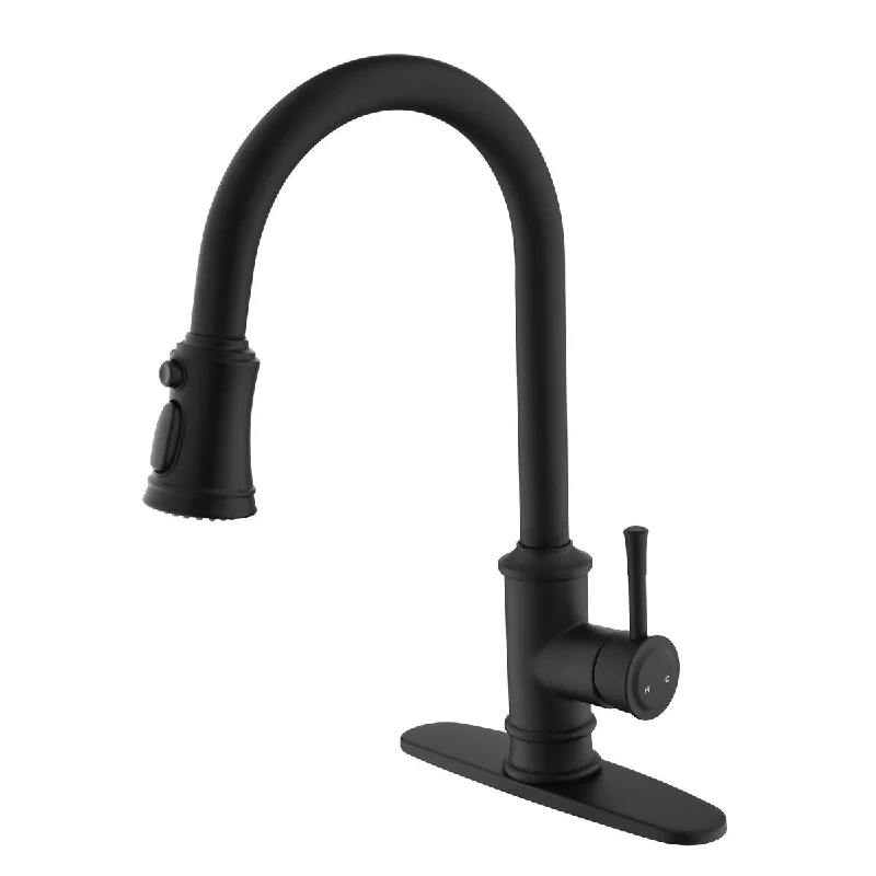 Stainless Steel Kitchen Faucet with Pull Out Spraye