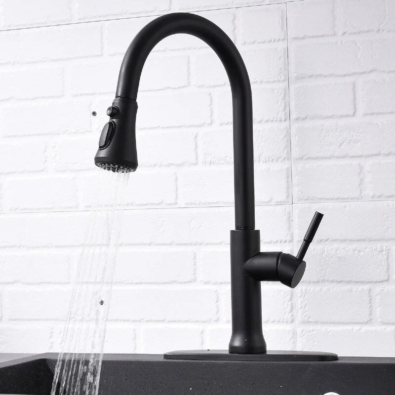 Stainless Steel Kitchen Faucets Are Versatile