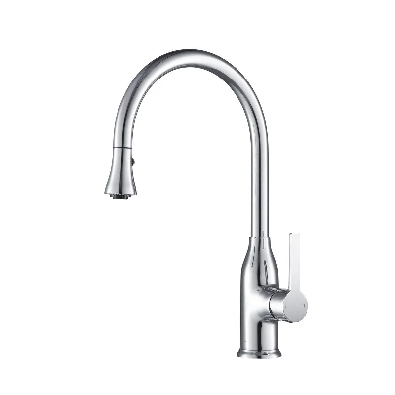 Stufurhome Everton Pull-down Sprayer Kitchen Faucet in Chrome