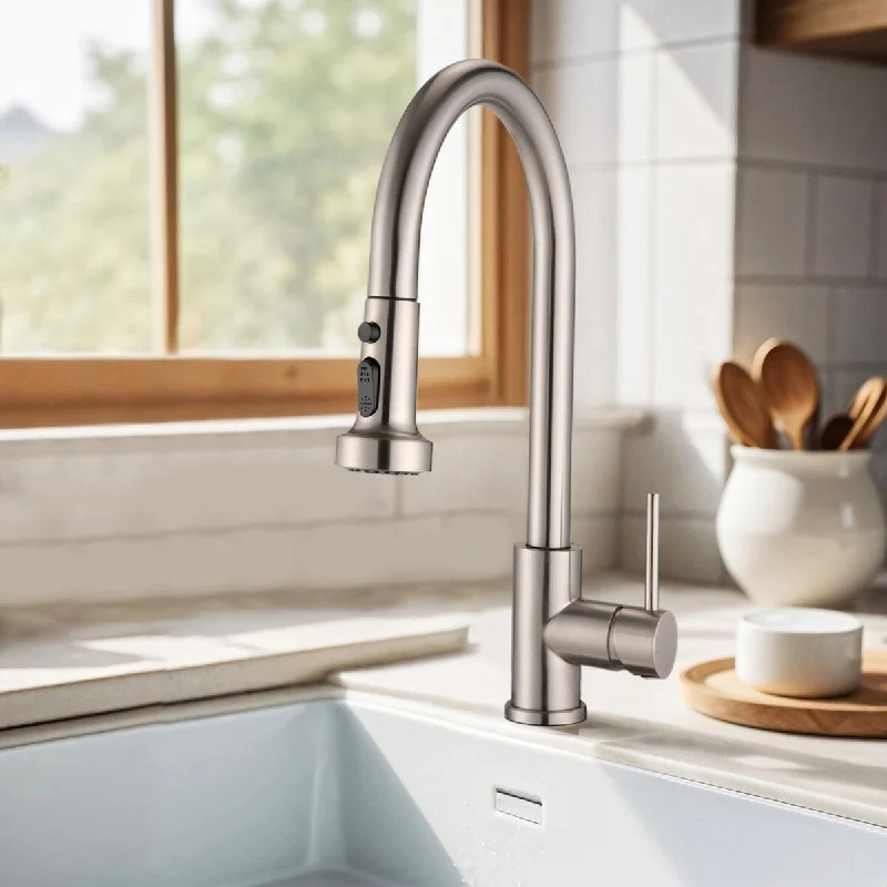 Topcraft Pull Down Single Handle Kitchen Faucet with Baseplate