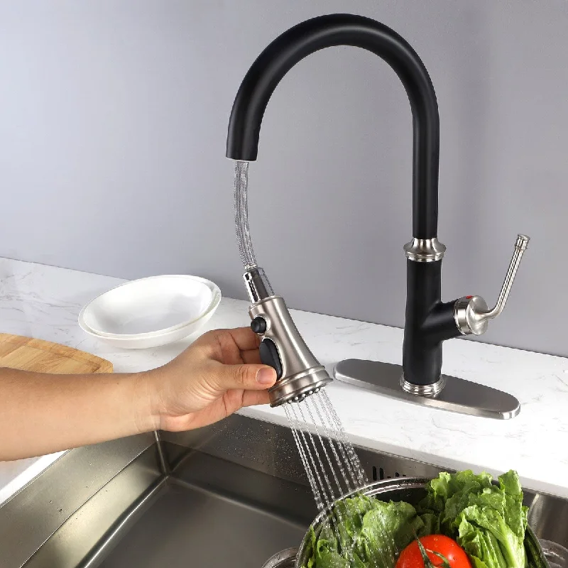 VANITYFAIR Kitchen Faucet with Pull Down Sprayer Stainless Steel