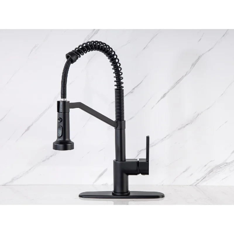 VANITYFAIR Pull Down Single Handle One Hole Or 3 Hole Kitchen Faucet