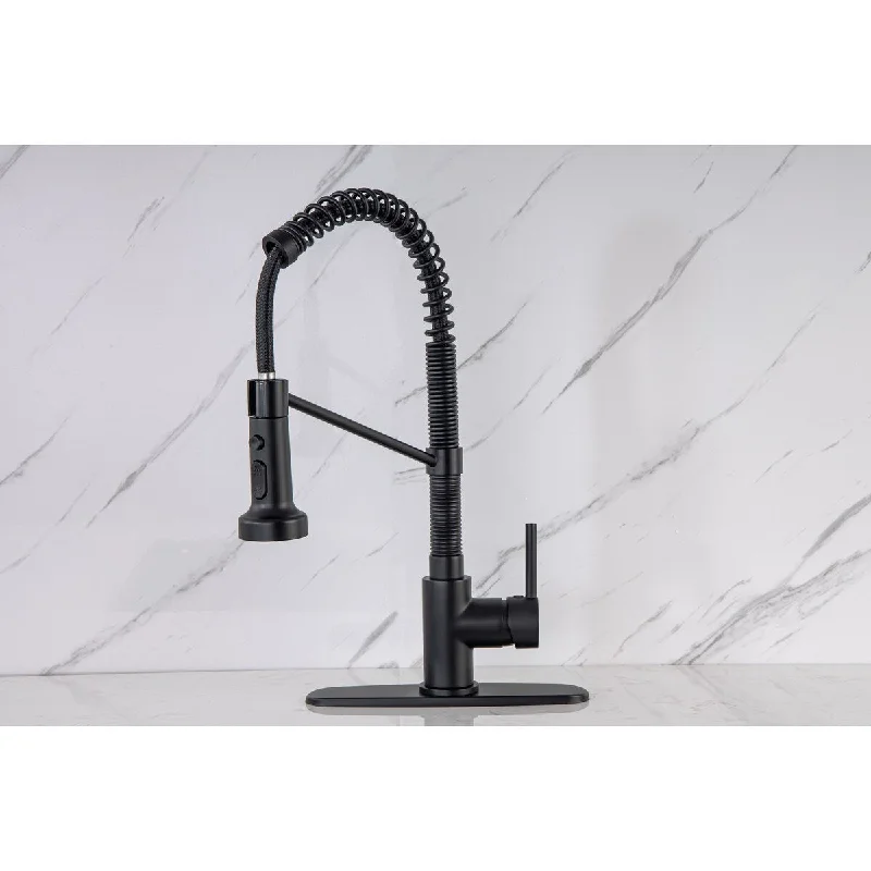 VANITYFAIR Single Handle One Hole Or 3 Hole Kitchen Faucet